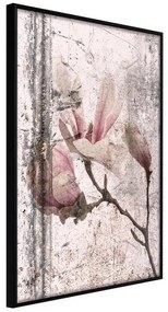 Poster  Queen of Spring Flowers III  Cornice Quadri Cornice nera, Larghezza x Altezza Home decor 40x60