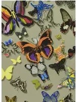 Christian Lacroix Tapete Butterfly Parade - Platine