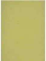 Terrastone Rustique floor - 15kg - 83 - Kansas