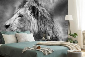 Carta da parati – Leone africano in bianco e nero
