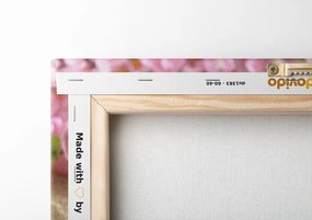 Quadro su tela – Giardino Zen e pietre nella sabbia