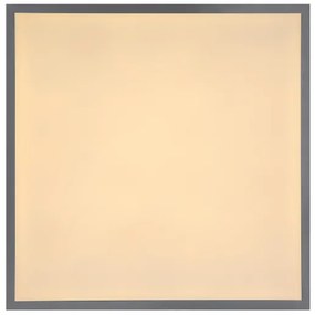 Globo 416080D2 - Plafoniera LED DORO LED/24W/230V