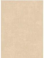 Arte International Carta da parati Tulle - Nude