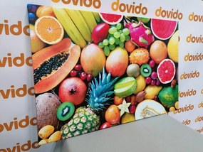 Stampa su tela – Frutta tropicale