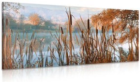 Quadro su tela – Fiume nel mezzo della natura autunnale