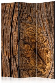 Paravento Old Tree [Room Dividers]