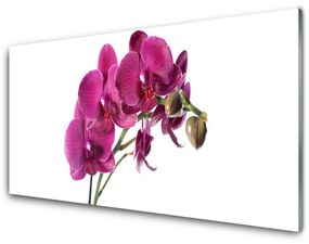 Quadro di vetro Orchidea Fiori della natura 100x50 cm