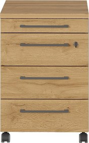 Armadietto color antracite/di colore naturale con effetto rovere con chiusura a chiave/su ruote 42x61x49 cm Agenda – Germania