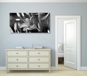 Quadro su tela – Fioritura di giglio in bianco e nero