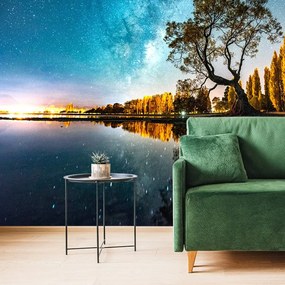 Fotomurale – Albero sotto il cielo stellato