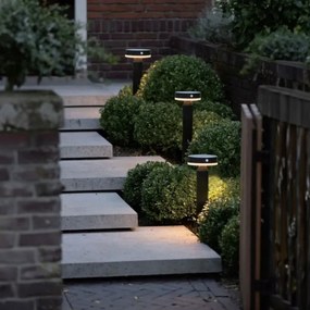 Zuma Line PT33613 - Lampada solare LED CARLI LED/4,5W/2000 mAh IP44 nero