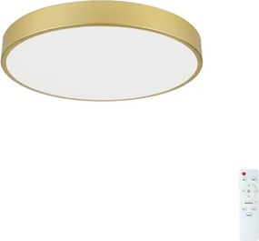 Brilagi - Lampada LED dimmerabile POOL LED/60W/230V 3000-6000K Ø 60 cm dorata + telecomando
