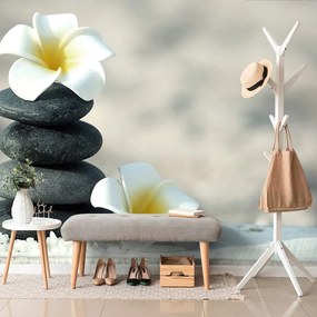 Carta da parati autoadesiva – Pietre armoniche e plumeria