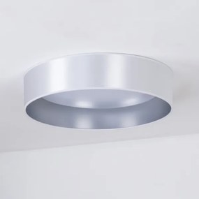 Duolla - Plafoniera LED ROLLER LED/24W/230V diametro 45 cm argento