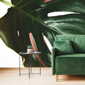 Carta da parati – Foglia di monstera