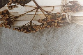 Quadro su tela – Collezione di foglie antiche