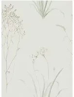 Florale Tapete Farne Grasses von Sanderson - Willow/ Pebble