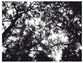 Fotomurale  Bleak forest  Colore bianco e nero, Dimensioni e Misure 250x193