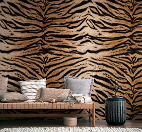 Fotomurale Tiger, multicolore 159 x 280 cm