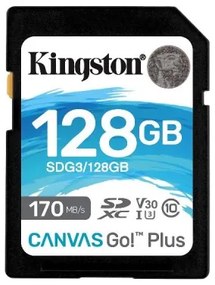 128GB SDXC CANVAS GO PLUS 170R