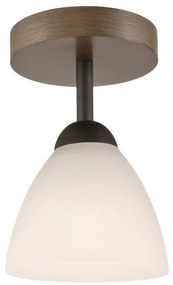 Lampadario a soffitto ADRIANO 1xE27/60W/230V