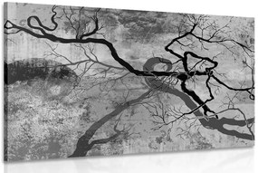 Stampa su tela – Alberi surrealisti in bianco e nero