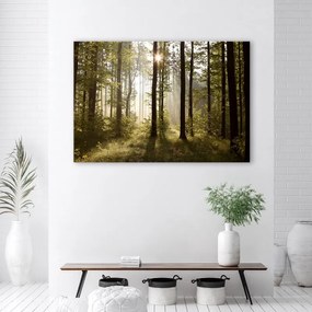 Quadro su tela, Mattina nella foresta  Dimensioni Tappeti 90x60