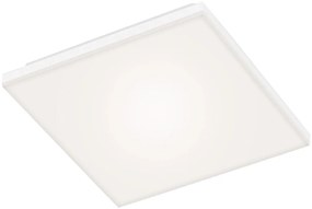 Briloner 7378216 - Pannello LED dimmerabile LED/38W/230V 3000-6500K + +TC