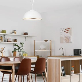 Lampadario a sospensione con supporto rigido RETRO II 1xE27/60W/230V bianco