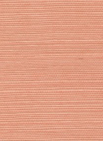 Élitis Tapete Sisal - RM 1069 57