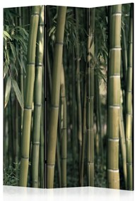 Paravento separè Esotismo del Bambù (3-parti) - foresta verde scuro piena di canne