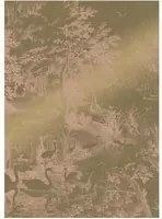 KEK Amsterdam Carta da parati panoramica Engraved Landscapes Gold 13 - M