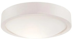 Lampada da soffitto 1xE27/60W/230V