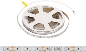 Striscia LED 24V 144W/m Luce Arancione - IP54 - 5 metri
