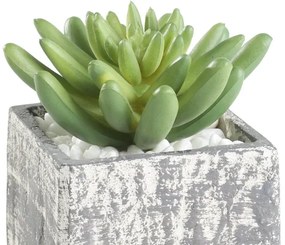 Eglo 428007 - Pianta artificiale CHITOSE 12x7,5 cm in vaso, succulenta
