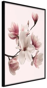 Poster  Blooming Magnolias I  Cornice Quadri Cornice nera, Larghezza x Altezza Home decor 30x45