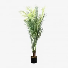 Pianta artificiale decorativa Palma Pigmea Style 110 cm ↑110 cm - Sklum