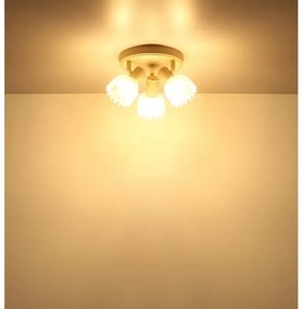 Globo 54317-3 - Faretto PLANTA 3xE14/40W/230V