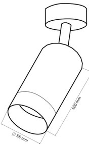 Faretto ARRAS 1xGU10/10W/230V nero