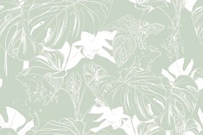 Carta da parati – Monstera insolita