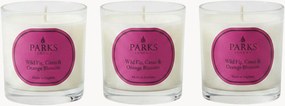 Set di 3 candele profumate fatte a mano Vintage Aromatherapy (fico selvatico, ribes nero e fior d'arancio)