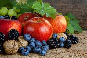 Carta da parati – Raccolto autunnale