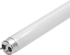 Tubo fluorescente UV per trappola per insetti G13/15W/230V 45 cm - Brilagi
