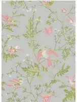 Cole & Son Tapete Hummingbirds - Rose/ Olive on Grey