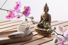 Carta da parati – Natura morta meditativa perfetta