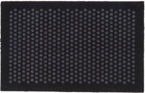 Zerbino Dot