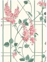 Blauregen Tapete Wisteria von Cole and Son - Coral/ Sage