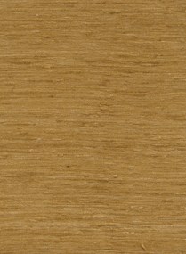 Carta da parati Pure Silk - Honey