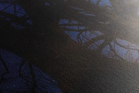 Stampa su tela – Alberi nella terra notturna