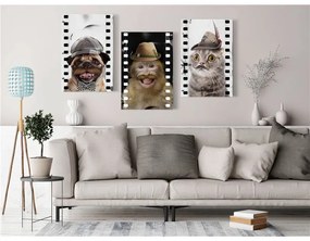 Quadro Funny Pets (Collection)